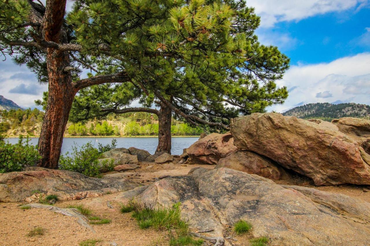 Twin Pines Cabin Estes Park Exterior foto